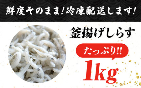 訳あり冷凍釜揚げしらす1kg しらす[XCN007]
