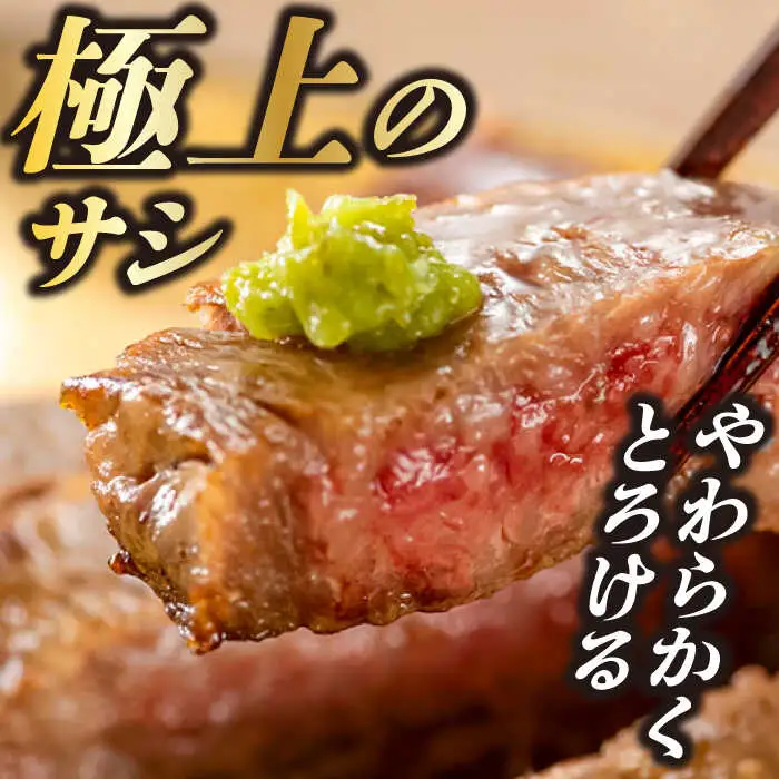 おおいた豊後牛 サーロインステーキ 250g (250g×1枚)  ステーキ サーロイン おおいた 豊後牛 サーロインステーキ[AREI006]