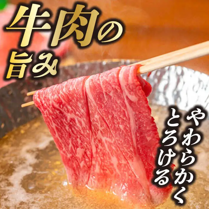 おおいた豊後牛 しゃぶしゃぶすき焼き用（肩ロース・肩バラ・モモ）400g  日田市 黒毛和牛 牛肉 豊後牛 しゃぶしゃぶ すき焼き   [AREI009]