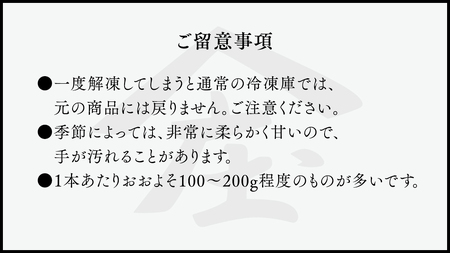 「田んぼ 紅はるか」で焼く、まるでアイスのような焼き芋 2kg(個包装) 