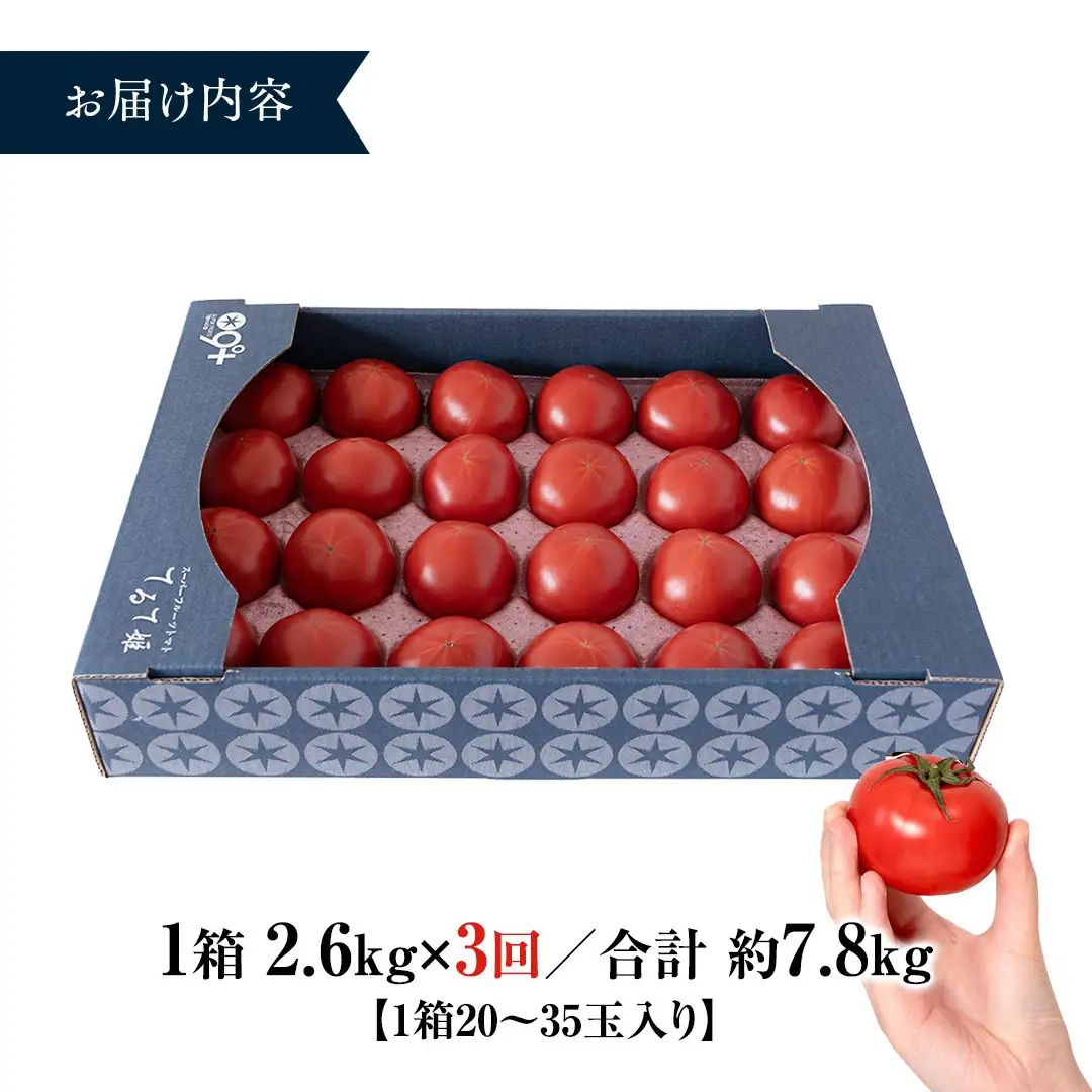 糖度9度以上【定期便】スーパーフルーツトマト てるて姫 大箱 約2.6kg×1箱×3回 糖度9度以上 先行予約 定期便 3ヶ月 茨城県 桜川市 KEK 国産 トマト フルーツトマト ブランドトマト 野菜 ギフト 贈答 青空レストラン アド街ック天国 グッドモーニング 黄金のワンスプーン 昼めし旅 [BC087sa]
