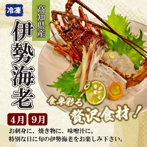 定期便 6回 お楽しみ 野島水産 | 魚貝定期便 海鮮定期便 6ヶ月定期便 魚介定期便