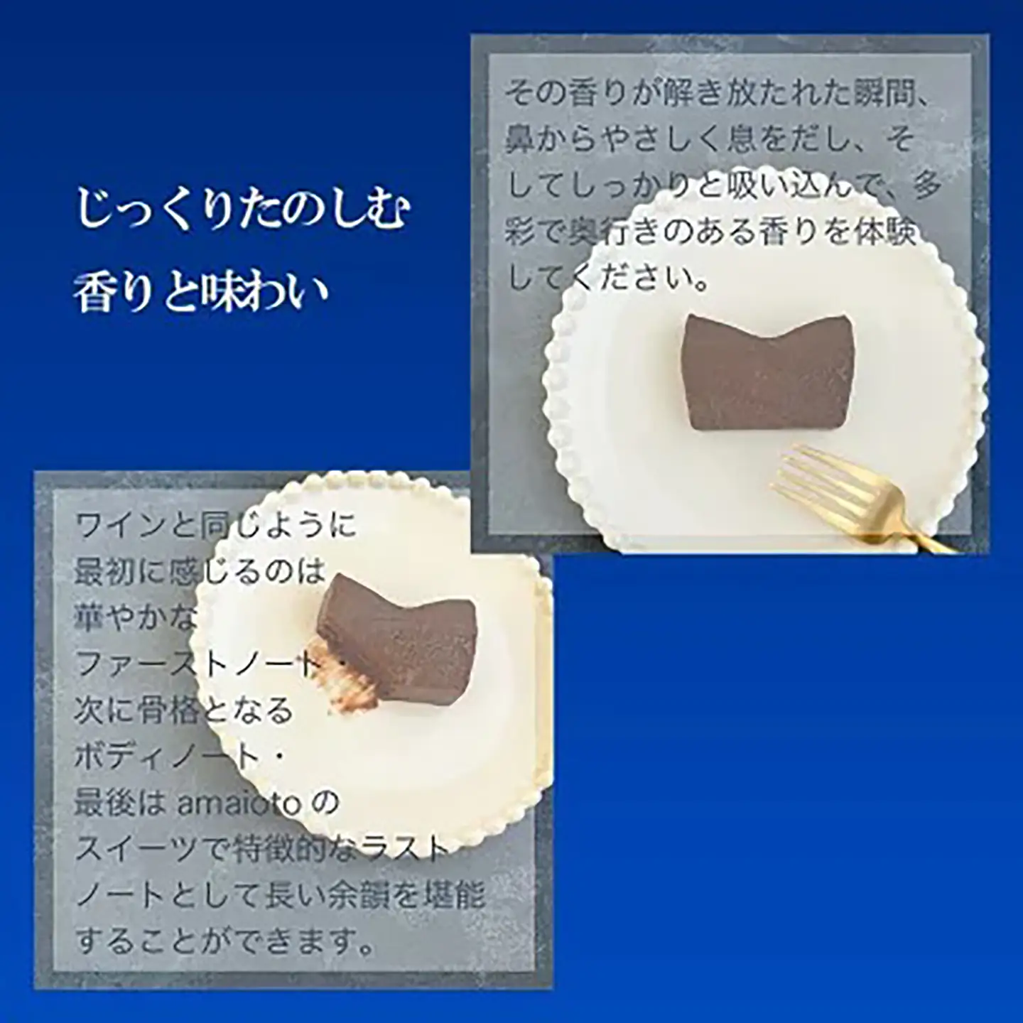 ケーキ テリーヌ ご自宅用簡易包装 アマイオトのごほうび 5ヶ月定期便