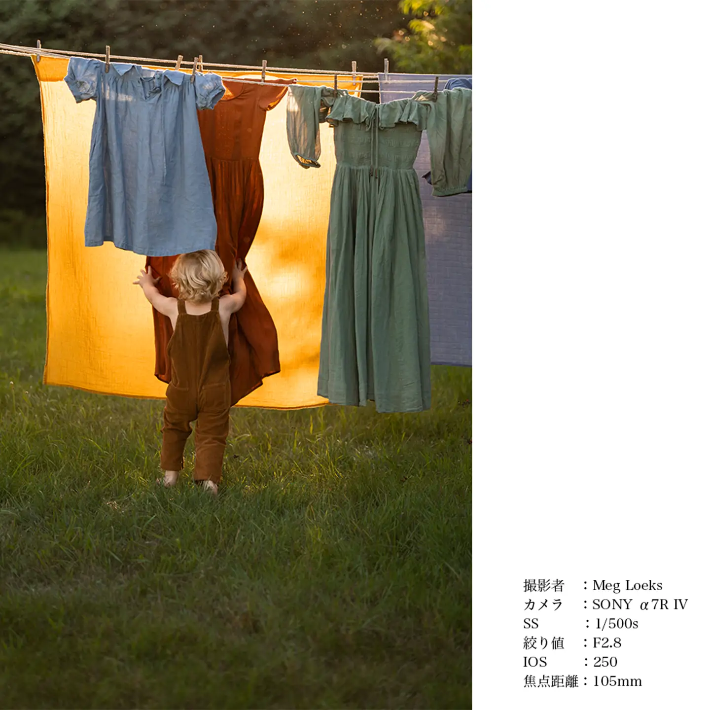 SIGMA 28-105mm F2.8 DG DN | Art【Lマウント】（数量限定）