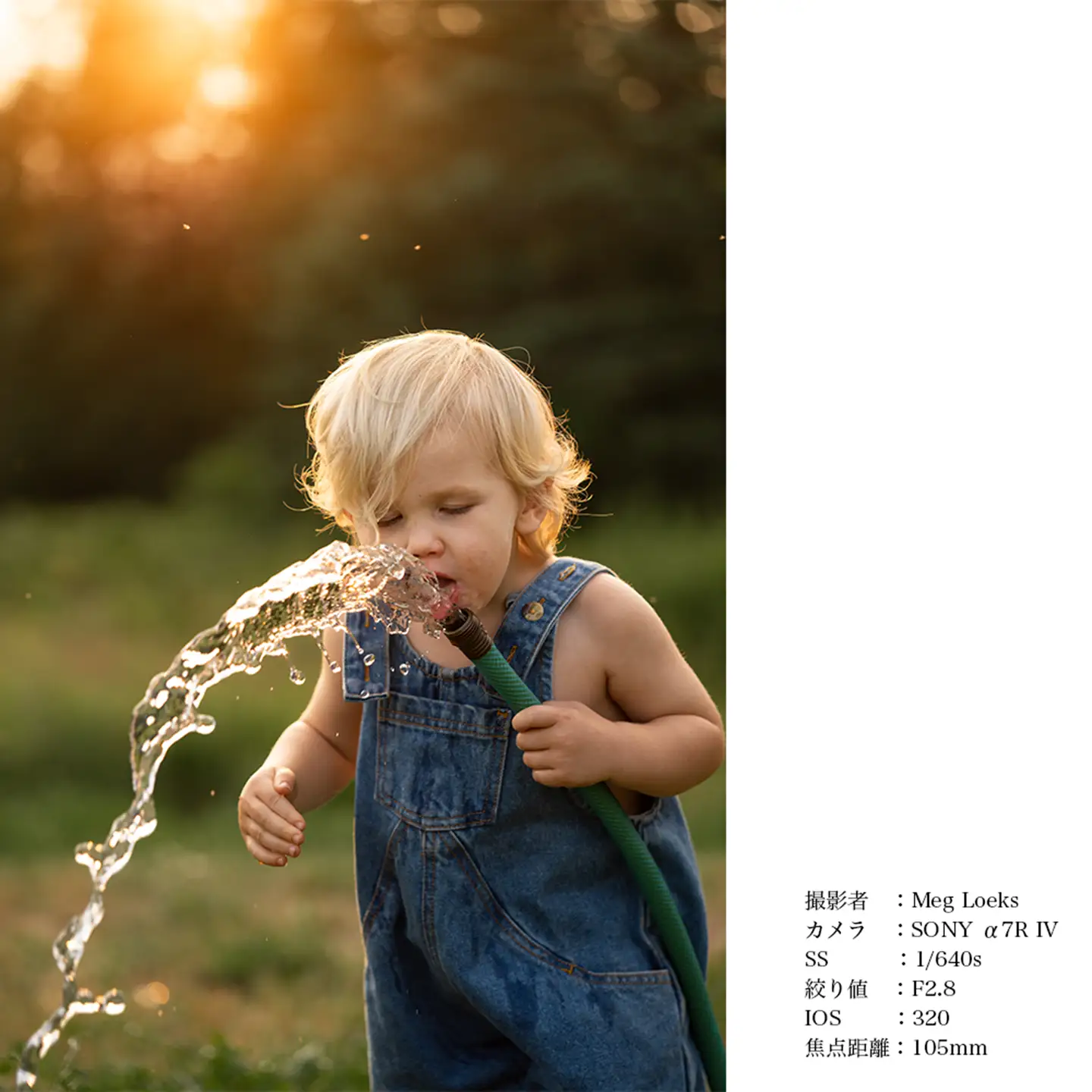 SIGMA 28-105mm F2.8 DG DN | Art【ソニーEマウント】（数量限定）