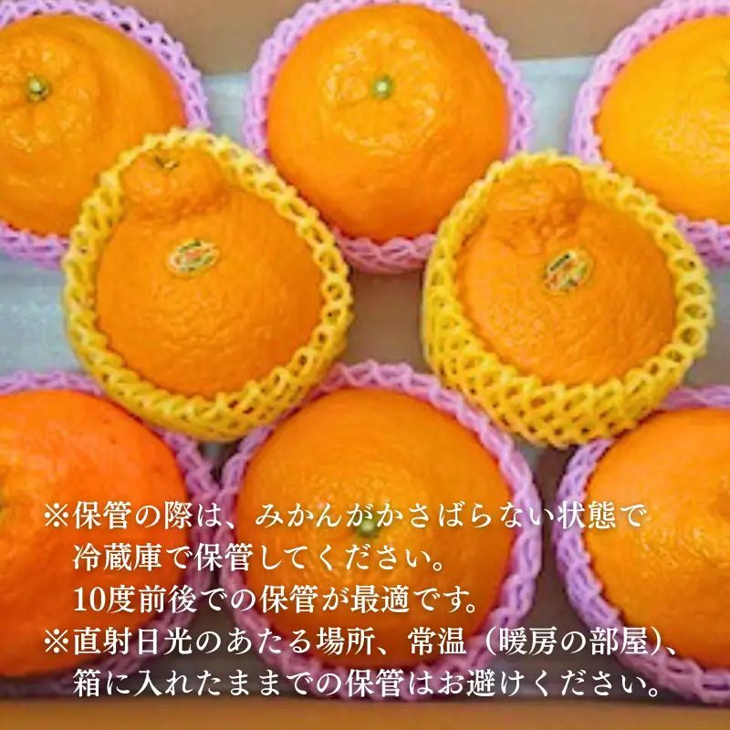 デコポン 佐賀みかん デコポン不知火 B195-006