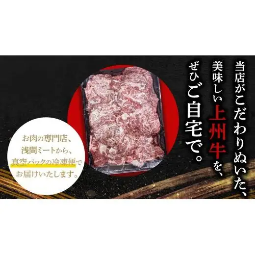 【 定期便 隔月 3回 】上州牛 切り落とし 1kg ( 500g × 2パック ) [AH029tu]