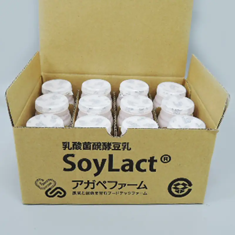 乳酸菌醗酵豆乳「ソイラクト」バラエティセット100ｍl×2本×6種（計12本）【乳酸菌 豆乳 大豆 発酵 醗酵 ドリンク 飲料 健康 黒大豆 クロダマル バラエティ セット 添加物不使用 健康飲料 サポート飲料 ビーガン 筑前町 ふるさと納税 送料無料 DS004】