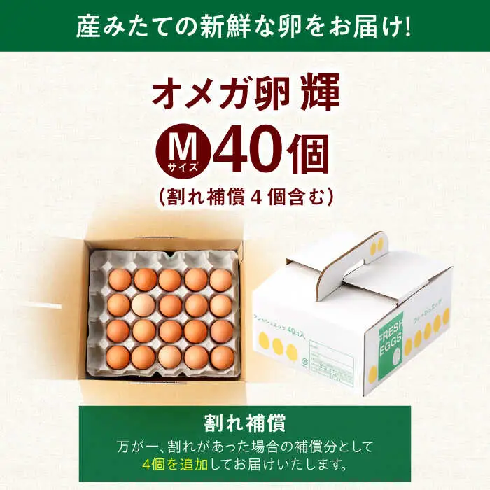 卵 オメガ卵輝40個 NCJ001 