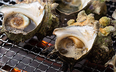 対馬産 天然冷凍サザエ 3kg さざえ サザエ 刺し身 海鮮 貝 [WAA039]