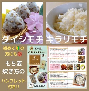CIC03_佐賀県産『もち麦』食べ比べ！キラリモチ４kg、ダイシモチ４kg（計８㎏）