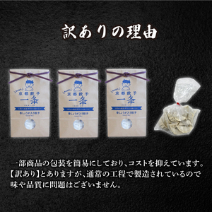 訳あり しょうが餃子100個 冷凍 京都餃子 餃子餃子餃子餃子餃子 228