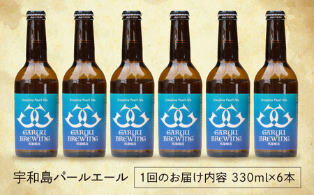 【年末限定】【全12回】クラフトビール定期便（宇和島パールエール）[AGAY031]定期便12ヶ月定期便12ヶ月定期便12ヶ月