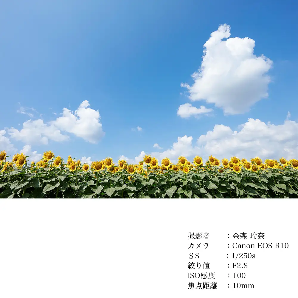 SIGMA 10-18mm F2.8 DC DN | Contemporary【キヤノンRFマウント】カメラ　レンズ　家電