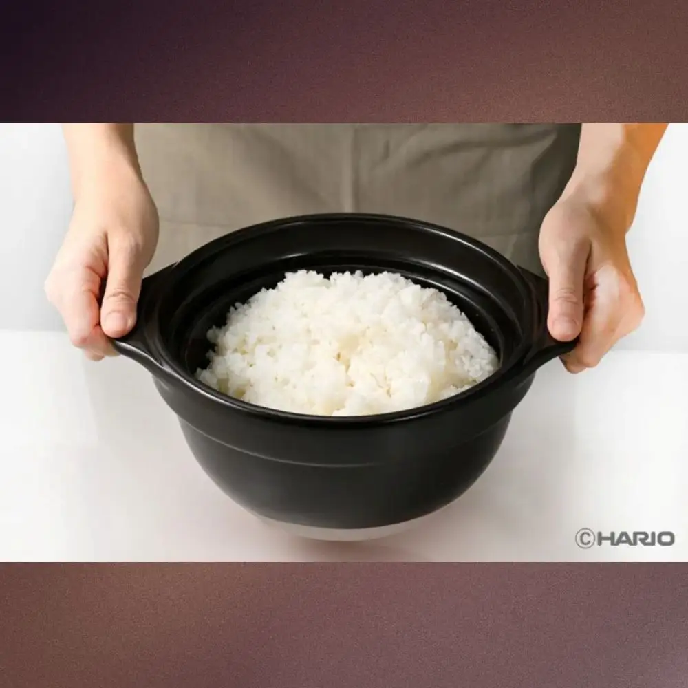 【萬古焼（ばんこやき）】フタがガラスのご飯釜2～3合炊き 令和7年モデル せんが陶器 【HARIO ハリオ  直火 土鍋 耐熱 ガラス 食器 キッチン 日用品 キッチン用品  日本製 ご飯 ごはん釜 炊飯器 四日市市 四日市】