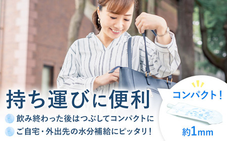 THE KIKUCHI WATER 500ml×30本 合計15L 水 飲料水 ミネラルウォーター シリカ 飲料《90日以内に出荷予定(土日祝除く)》天然水 飲料水 ミネラルウォーター シリカ含有 アルミパウチ パウチ 国産 九州産 熊本県産 菊池市産 送料無料