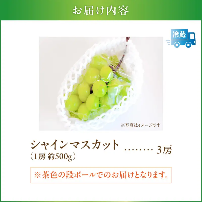 【 2026年 先行予約 】【 桜島 産 】 シャインマスカット 3房 K260-001_03