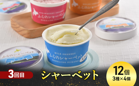 特産品セット 富良野 ジンギスカン バター チーズ シャーベット【全3回】【定期便】