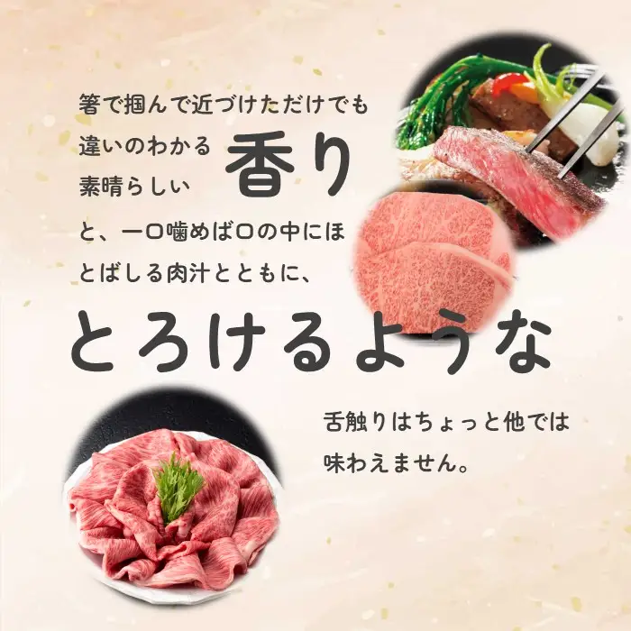 きたかみ牛　サーロインステーキ　300g×2枚　西部開発農産 岩手県 北上市 I0116 きたかみ牛 黒毛和牛 牛肉 お肉 お歳暮 ギフト のし対応 熨斗