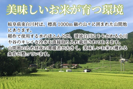 【令和7年産・先行受付】令和7年産 コシヒカリ 新米 玄米 約10kg 岐阜県 東白川村産