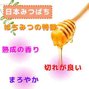 GD006_日本蜜蜂の純粋はちみつ＊　３００ｇ×２