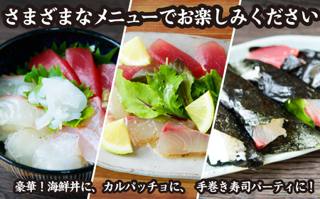 アワビと地魚の盛合わせ(刺身約35切)【ハーフsize】 （12月1日から7月到着分） マグロ まぐろ 鮪 イカ いか 烏賊 カンパチ かんぱち 勘八 サザエ さざえ 栄螺 アワビ あわび 鮑 海鮮 魚貝類 魚介類 刺身 刺し身 旬の刺身 手軽 簡単 冷蔵 三重県 尾鷲市 UO-f-62