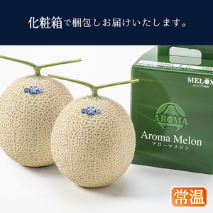 メロン 温室 アローマ 果物 ハウス 白等級 2玉 GABA (a32-026)