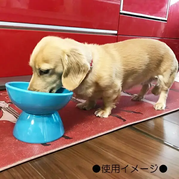 ペット用品 餌入れ ブルー 犬用 ペット用 小型犬用 スケーター 9-052