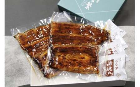 【定期便】全12回コース　蒲焼割烹うな繁　うなぎ蒲焼真空パック２人前