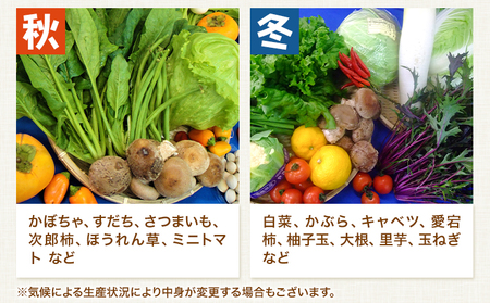 旬の新鮮な 野菜便 定期便 計4回お届け 各8～10品