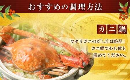 北海道 小樽市産 ワタリガニ 1.6kg （400g×4尾） 蟹 かに ワタリ蟹