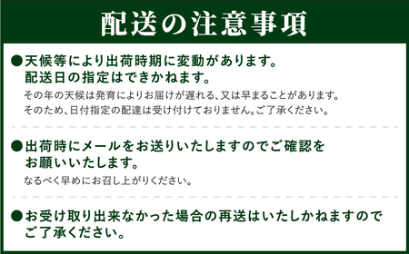 【先行予約 2025年発送】＼ぶどう3種食べくらべ定期便／ 3回発送 冷蔵 高級 種無し 種なし シャインマスカット ブドウ ぶどう 品種 果物 フルーツ 巨峰 美味しい 希少 人気 福島県 田村市 鈴木農園 