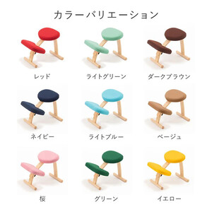 バランスイージー専用プレミアムニットカバーnew（グリーン）はっ水加工【 チェアカバー 椅子カバー チェアカバー 椅子カバー チェアカバー 椅子カバー チェアカバー 椅子カバー 】