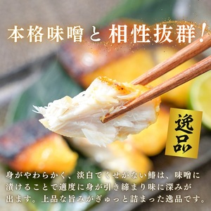 さわら西京味噌漬け 約80g×10切れ (a11-183)