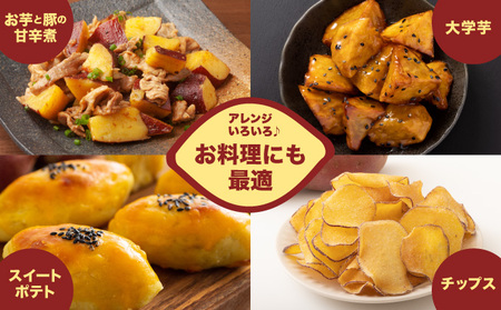 【先行予約】さつまいも食べ比べセット ３種類 合計3kg 詰め合わせ (金時さつまいも・紅はるか・シルクスイート・紫芋・フルーツこがね・ハロウィンスイート・土佐紅・みついも・紅まさり) サツマイモ さつま芋 焼き芋 やきいも 6000円 野菜