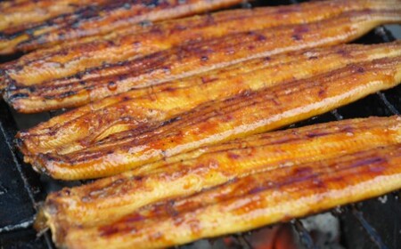 うなぎ 定期便 2回 うなぎ 蒲焼き 白焼き セット 120g 各2尾(無頭) 魚介 国産 海鮮 魚 かばやき 鰻 ウナギ 惣菜 おかず お手軽 しらやき 加工品 加工食品 冷凍  Wun-0105