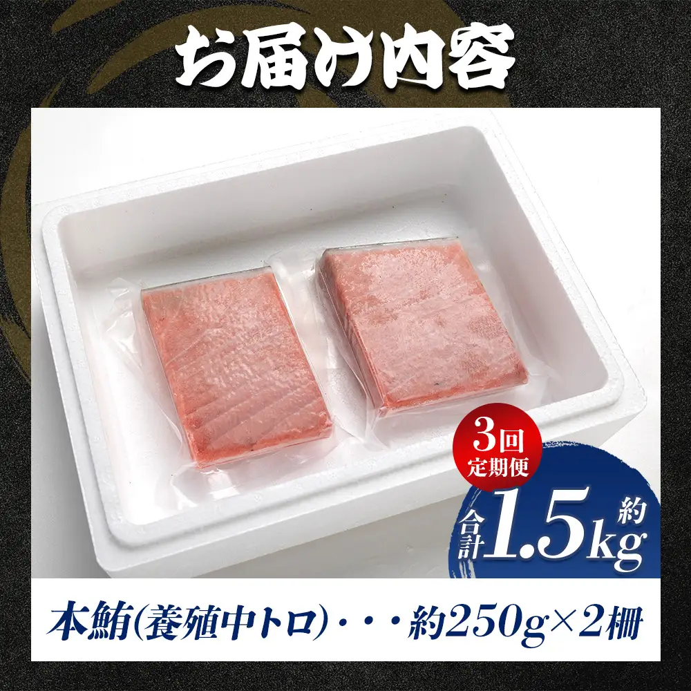 【定期便/計3回】本マグロ中トロ500g（計1.5kg）【まぐろまぐろまぐろまぐろまぐろまぐろまぐろまぐろまぐろまぐろまぐろまぐろまぐろまぐろまぐろまぐろまぐろまぐろまぐろまぐろまぐろまぐろまぐろまぐろまぐろまぐろまぐろまぐろまぐろまぐろまぐろまぐろまぐろまぐろまぐろまぐろまぐろまぐろまぐろまぐろまぐろまぐろまぐろまぐろまぐろまぐろまぐろまぐろまぐろまぐろまぐろまぐろまぐろまぐろまぐろまぐろまぐろまぐろまぐろまぐろまぐろまぐろまぐろまぐろまぐろまぐろまぐろまぐろまぐろまぐろまぐろまぐろまぐろまぐろまぐろまぐろまぐろまぐろまぐろまぐろまぐろまぐろまぐろまぐろまぐろまぐろまぐろまぐろまぐろまぐろまぐろまぐろまぐろまぐろまぐろまぐろまぐろまぐろまぐろまぐろまぐろまぐろまぐろまぐろまぐろまぐろまぐろまぐろまぐろまぐろまぐろまぐろまぐろまぐろまぐろまぐろまぐろまぐろまぐろまぐろまぐろまぐろまぐろまぐろまぐろまぐろまぐろまぐろまぐろまぐろまぐろまぐろまぐろまぐろまぐろまぐろまぐろまぐろまぐろまぐろまぐろまぐろまぐろまぐろまぐろまぐろまぐろまぐろまぐろまぐろまぐろまぐろまぐろまぐろまぐろまぐろまぐろまぐろまぐろまぐろまぐろまぐろまぐろまぐろまぐろまぐろまぐろまぐろまぐろまぐろまぐろまぐろまぐろまぐろまぐろまぐろまぐろまぐろまぐろまぐろまぐろまぐろまぐろまぐろまぐろまぐろまぐろまぐろまぐろまぐろまぐろまぐろまぐろまぐろまぐろまぐろまぐろまぐろまぐろまぐろまぐろまぐろまぐろまぐろまぐろまぐろまぐろまぐろまぐろまぐろまぐろまぐろまぐろまぐろまぐろまぐろまぐろまぐろまぐろまぐろまぐろまぐろまぐろまぐろまぐろまぐろまぐろまぐろまぐろまぐろまぐろまぐろまぐろまぐろまぐろまぐろまぐろまぐろまぐろまぐろまぐろまぐろまぐろまぐろまぐろまぐろまぐろまぐろまぐろまぐろまぐろまぐろまぐろまぐろまぐろまぐろまぐろまぐろまぐろまぐろまぐろまぐろまぐろまぐろまぐろまぐろまぐろまぐろまぐろまぐろまぐろまぐろまぐろまぐろまぐろまぐろまぐろまぐろまぐろまぐろまぐろまぐろまぐろまぐろまぐろまぐろまぐろまぐろまぐろまぐろまぐろまぐろまぐろまぐろまぐろまぐろまぐろまぐろまぐろまぐろまぐろまぐろまぐろまぐろまぐろまぐろまぐろまぐろまぐろまぐろまぐろまぐろまぐろまぐろまぐろまぐろまぐろ】  Woo-0023