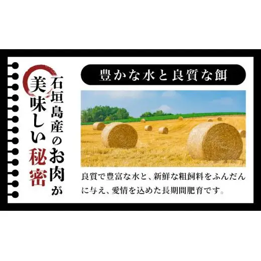 極厚!!肉汁溢れる 石垣島産《黒毛和牛100%》俵ハンバーグ 180g×4個  　 YC-8