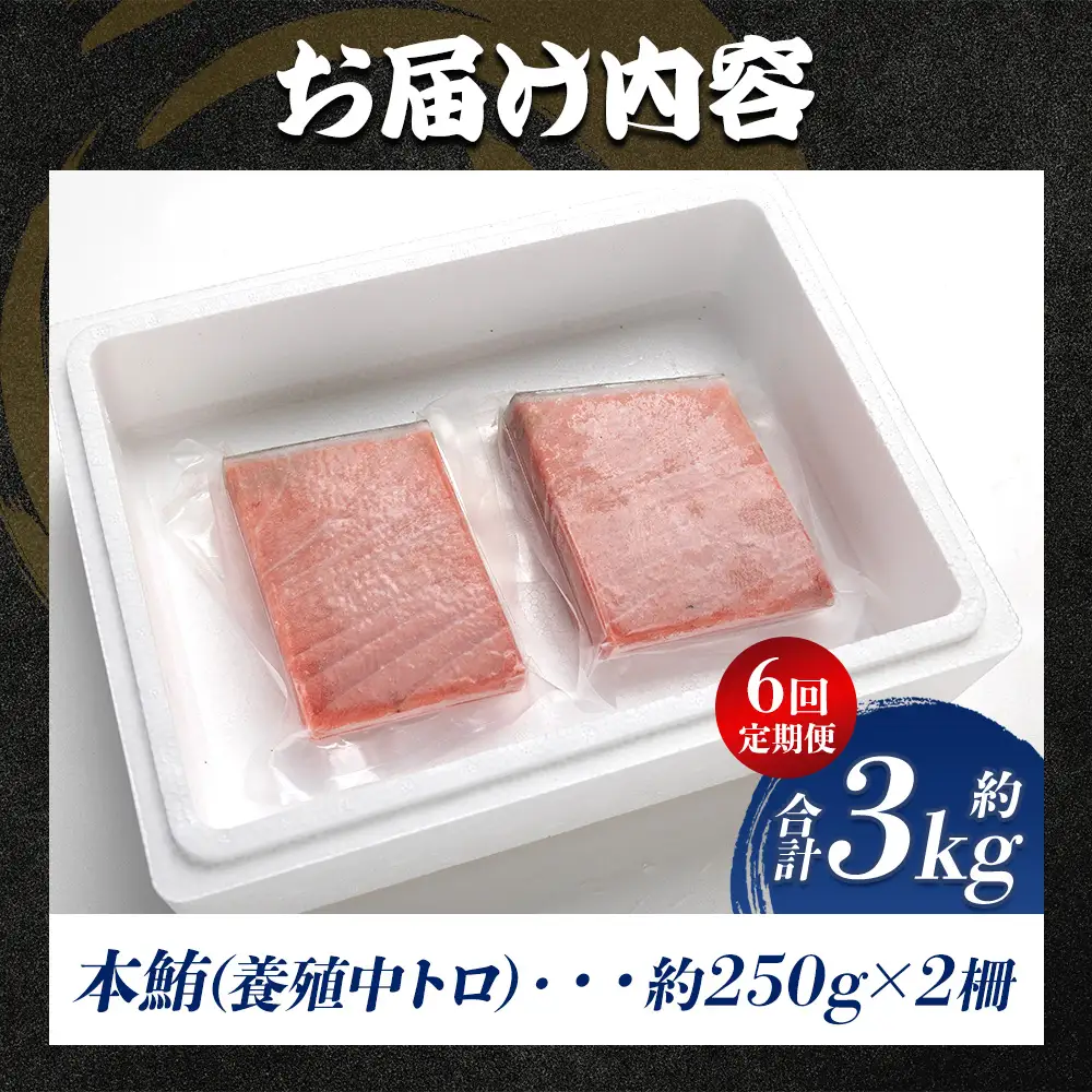 【定期便/計6回】本マグロ中トロ500g（計3kg）【まぐろまぐろまぐろまぐろまぐろまぐろまぐろまぐろまぐろまぐろまぐろまぐろまぐろまぐろまぐろまぐろまぐろまぐろまぐろまぐろまぐろまぐろまぐろまぐろまぐろまぐろまぐろまぐろまぐろまぐろまぐろまぐろまぐろまぐろまぐろまぐろまぐろまぐろまぐろまぐろまぐろまぐろまぐろまぐろまぐろまぐろまぐろまぐろまぐろまぐろまぐろまぐろまぐろまぐろまぐろまぐろまぐろまぐろまぐろまぐろまぐろまぐろまぐろまぐろまぐろまぐろまぐろまぐろまぐろまぐろまぐろまぐろまぐろまぐろまぐろまぐろまぐろまぐろまぐろまぐろまぐろまぐろまぐろまぐろまぐろまぐろまぐろまぐろまぐろまぐろまぐろまぐろまぐろまぐろまぐろまぐろまぐろまぐろまぐろまぐろまぐろまぐろまぐろまぐろまぐろまぐろまぐろまぐろまぐろまぐろまぐろまぐろまぐろまぐろまぐろまぐろまぐろまぐろまぐろまぐろまぐろまぐろまぐろまぐろまぐろまぐろまぐろまぐろまぐろまぐろまぐろまぐろまぐろまぐろまぐろまぐろまぐろまぐろまぐろまぐろまぐろまぐろまぐろまぐろまぐろまぐろまぐろまぐろまぐろまぐろまぐろまぐろまぐろまぐろまぐろまぐろまぐろまぐろまぐろまぐろまぐろまぐろまぐろまぐろまぐろまぐろまぐろまぐろまぐろまぐろまぐろまぐろまぐろまぐろまぐろまぐろまぐろまぐろまぐろまぐろまぐろまぐろまぐろまぐろまぐろまぐろまぐろまぐろまぐろまぐろまぐろまぐろまぐろまぐろまぐろまぐろまぐろまぐろまぐろまぐろまぐろまぐろまぐろまぐろまぐろまぐろまぐろまぐろまぐろまぐろまぐろまぐろまぐろまぐろまぐろまぐろまぐろまぐろまぐろまぐろまぐろまぐろまぐろまぐろまぐろまぐろまぐろまぐろまぐろまぐろまぐろまぐろまぐろまぐろまぐろまぐろまぐろまぐろまぐろまぐろまぐろまぐろまぐろまぐろまぐろまぐろまぐろまぐろまぐろまぐろまぐろまぐろまぐろまぐろまぐろまぐろまぐろまぐろまぐろまぐろまぐろまぐろまぐろまぐろまぐろまぐろまぐろまぐろまぐろまぐろまぐろまぐろまぐろまぐろまぐろまぐろまぐろまぐろまぐろまぐろまぐろまぐろまぐろまぐろまぐろまぐろまぐろまぐろまぐろまぐろまぐろまぐろまぐろまぐろまぐろまぐろまぐろまぐろまぐろまぐろまぐろまぐろまぐろまぐろまぐろまぐろまぐろまぐろまぐろまぐろまぐろまぐろまぐろまぐろまぐろまぐろまぐろ】  Woo-0024