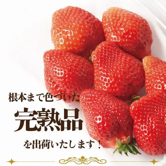 【2027年3月出荷予定】完熟 あまおう イチゴ 280g×4パック(約1120g)＜配送不可：北海道、沖縄県、離島＞