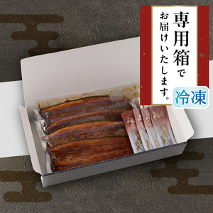 静岡県産 うなぎ 蒲焼 真空 パック 約140g×4 (a32-015)