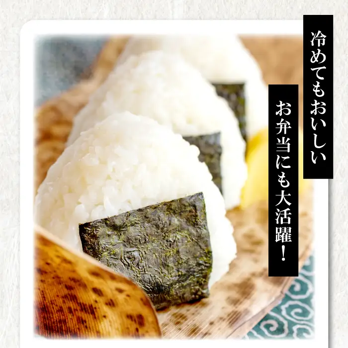 さんべ浮布米（無洗米）定期便（5kg×2回コース）【無洗米 定期便 2回 先行予約 コシヒカリ 5kg 2回定期 令和6年産 こしひかり 合計10kg お米 2024年産 特別栽培米 島根県産 大田市産 減化学肥料】