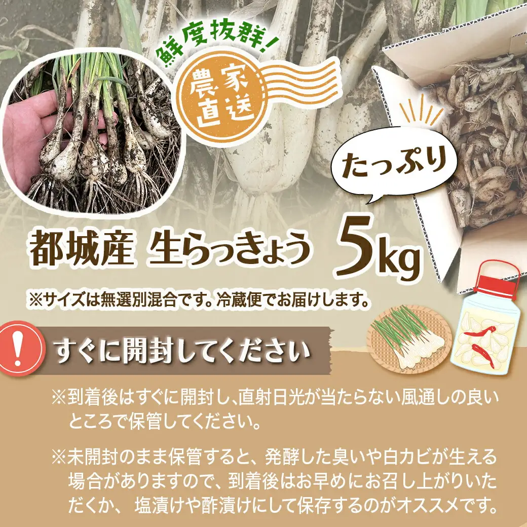 【先行受付!】根付き土付き生らっきょう5kg≪2027年5月中旬以降順次お届け≫〔13-L7-001-5kg〕