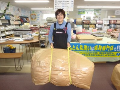 ジュニア用ふとん　掛敷2枚組セット（もめん綿入り）【CW41W1】