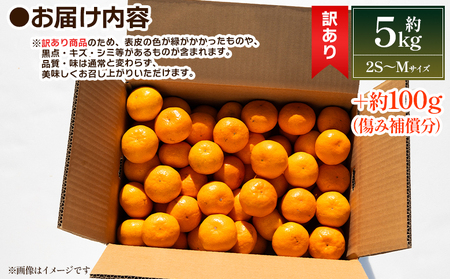 訳あり 温州みかん 5kg みかん 傷み補償分付き フルーツ 果物 くだもの 柑橘 丸萬農園 mn-0012