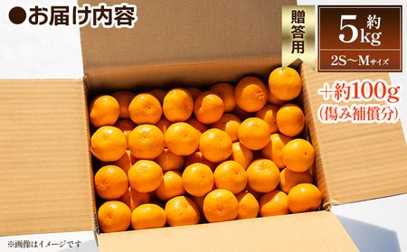 【2026年出荷分】露地みかん(2S～Mサイズ) 5kg 贈答用 丸萬農園【贈答用みかん 国産みかん 温州みかん 露地みかん 小玉みかん 高知県産みかん 甘いみかん おすすめみかん】 mn-0009