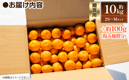 【2026年出荷分】露地みかん(2S～Mサイズ) 10kg 贈答用 丸萬農園 mn-0010