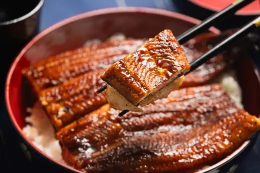国産 うなぎ 定期便 100g～120g 2尾 6回 蒲焼き 高知県産 養殖 魚介 国産 海鮮 魚 かばやき 鰻 ウナギ 惣菜 おかず お手軽 加工品 加工食品 冷凍 Wfb-0039