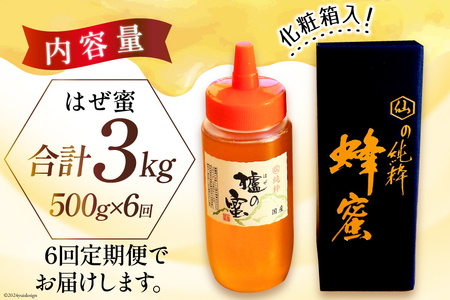 BI289 6回 定期便 国産 はちみつ はぜ蜜 500g