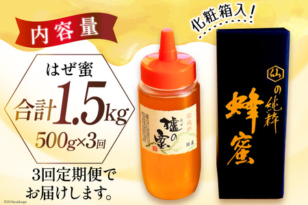 BI288 3回 定期便 国産 はちみつ はぜ蜜 500g